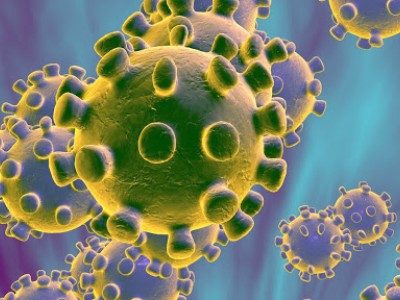 Coronavirus Coronavirus